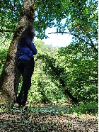 Clique pour agrandir ...